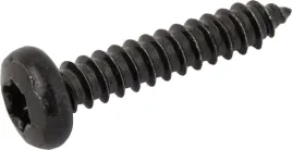 sruba-z-lbem-krzyzowym-st48x25-c-torx-znni8f-706562