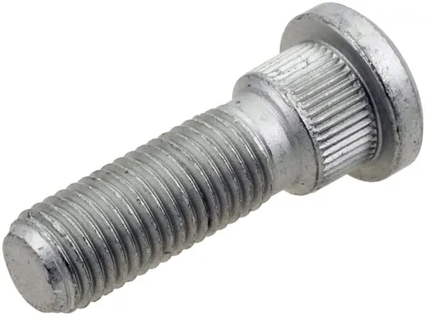 sruba-kola-4016806
