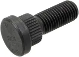 sruba-kola-4016804