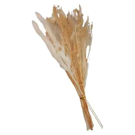kwiaty-naturalne-suszone-dekoracyjne