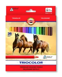 kredki-olowkowe-triocolor-koh-i-noor-3145-36-kolorow-9mm