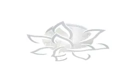 plafon-okragly-iralan-76-x-12-cm-bialy