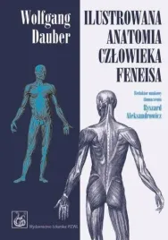 ilustrowana-anatomia-czlowieka-feneisa-pzwl-wolfgang-dauber