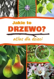 jakie-to-drzewo-atlas-dla-dzieci-aleksandra-halarewicz