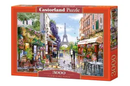 puzzle-3000-paryz-c-300525-2