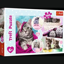 puzzle-160-urocze-kotki-15371