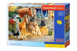 puzzle-300-zebranie-przyjaciol-b-030255