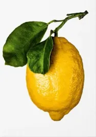 the-gourmand-s-lemon-wer-angielska