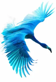 plakat-68x98cm-blekitny-lot