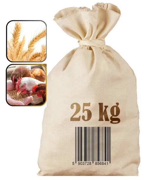 Pszenica Paszowa Ziarno Pasza Karma dla kur niosek gołębi Polska 25KG