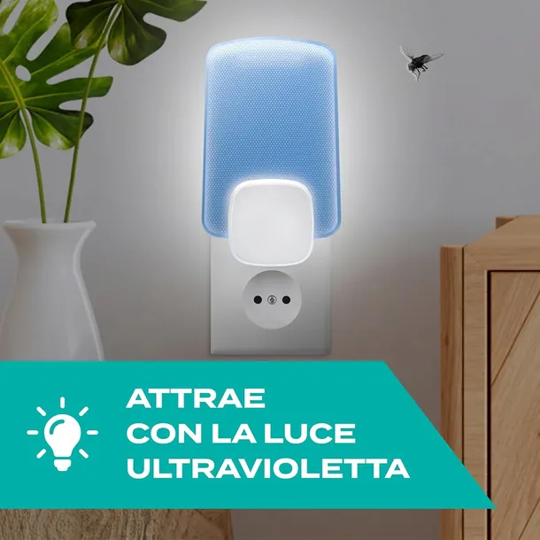 pulapka-przeciwko-komarom-stem-rodzaj-pulapka