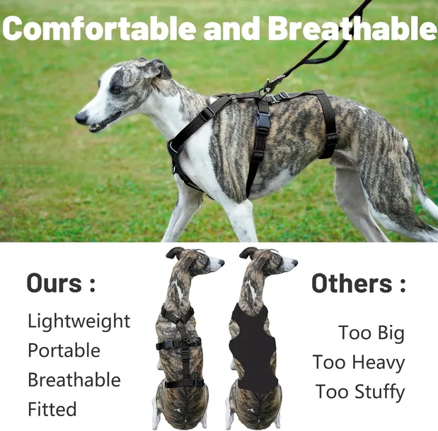 szelki-dla-psa-produkt-wprowadzony-do-obrotu-na-terenie-ue-przed-13-12-2024-nie-stan-nowy