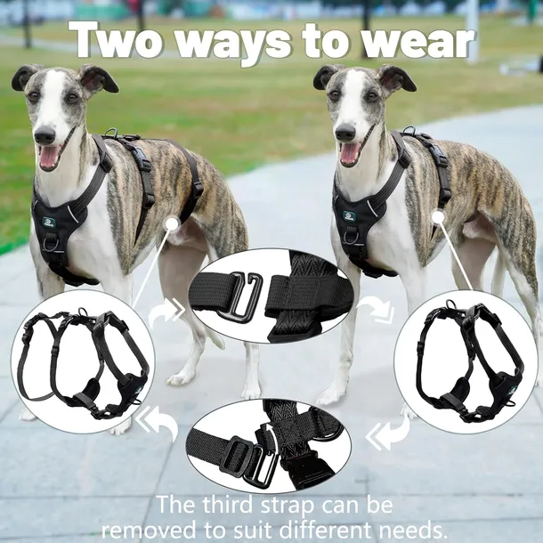 szelki-dla-psa-produkt-wprowadzony-do-obrotu-na-terenie-ue-przed-13-12-2024-nie