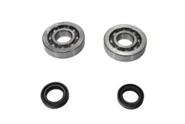 zestaw-lozysk-walu-skf-20x52x12-do-aprilia-derbi-gilera-piaggio-50cc-rms