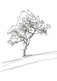 plakat-70x100cm-drzewo-w-zarysie