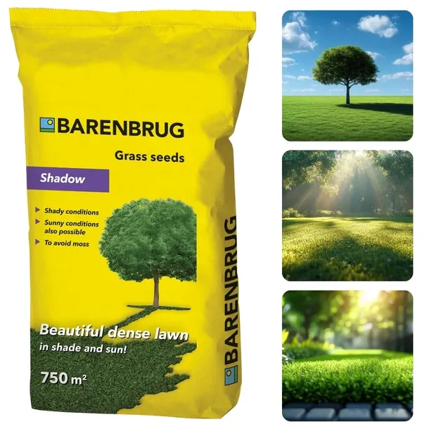 Trawa Barenbrug Shadow Reprezentacyjna Na Cień Słońce 15kg