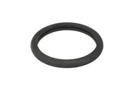 uszczelka-termostatu-70-27837-00-reinz