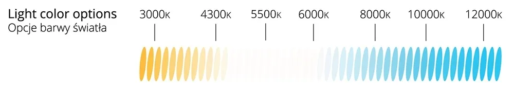 komplet-zarnikow-xenon-amio-basic-d2r-8000k