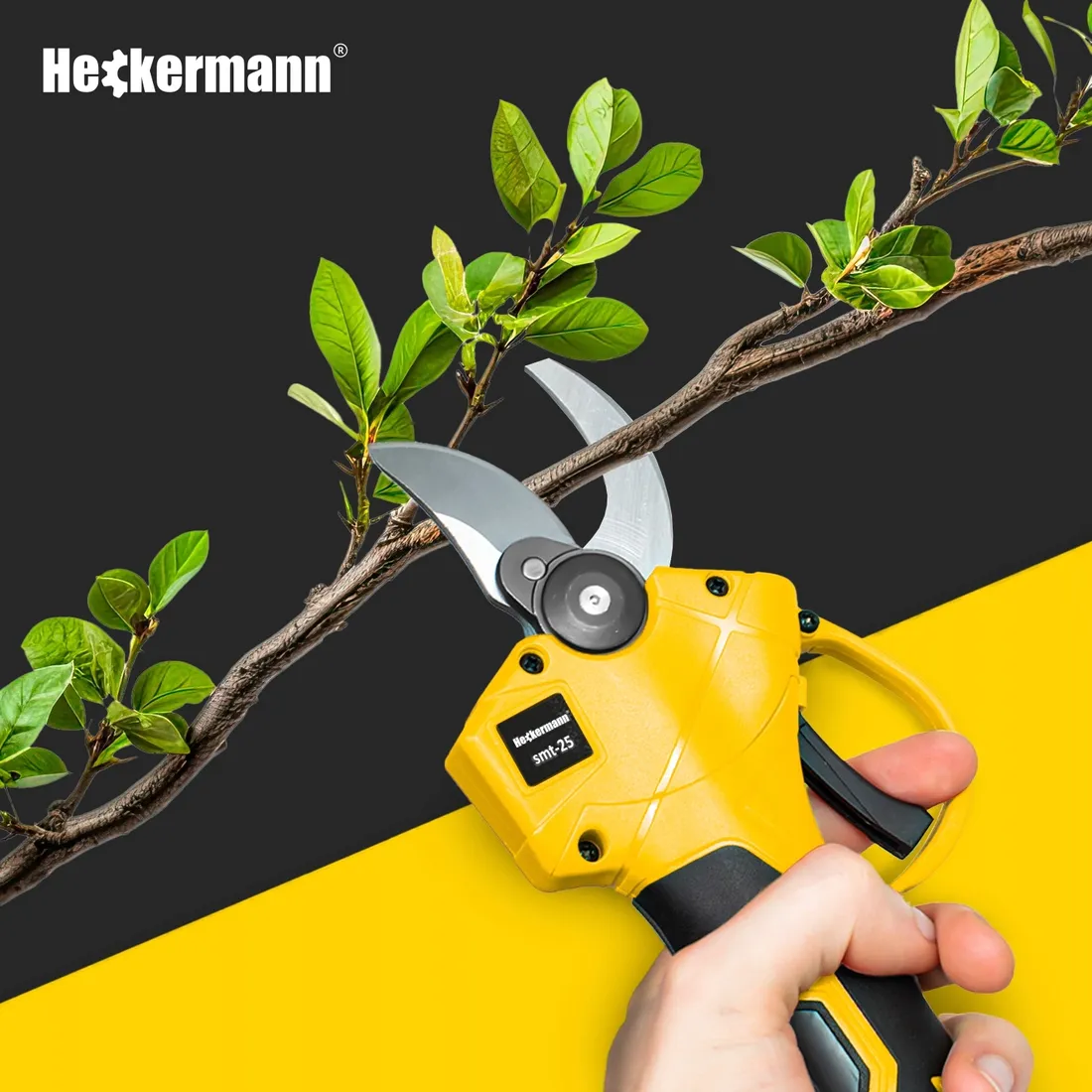 pila-lancuchowa-sekator-akumulatorowa-galeziowka-2xaku-wysiegnik-200-cm