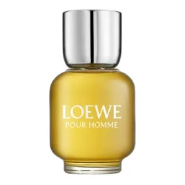 loewe-pour-homme-eau-de-toilette-unikat-150-ml
