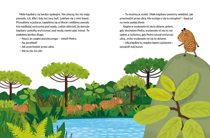 kapibara-barbara-marka-inna