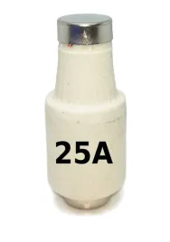 wkladka-topikowa-bi-wts-dii-gf-bezpiecznik-25a
