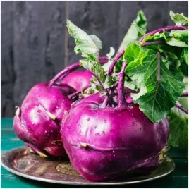 kalarepa-purpurowa-del-blauer-zdrowa-smaczna-oryginalna-nasiona-2-g
