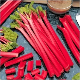 rabarbar-lider-odmiana-plenna-wczesna-pedy-miesiste-nasiona-1-g