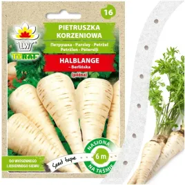 nasiona-warzyw-na-tasmie-pietruszka-berlinska-halblange-6-m-pozna-zdrowa