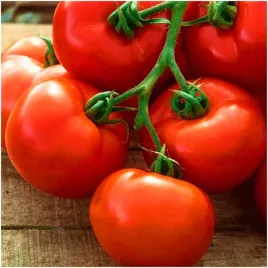 pomidor-pedro-f1-wyrownane-owoce-idealny-do-tuneli-nasiona-02-g