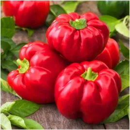 papryka-slodka-czeresniowa-dumas-jak-pomidor-idealna-do-donic-nasiona-05-g