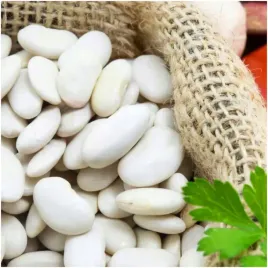 fasola-zwykla-karlowa-aura-na-suche-nasiona-40-g