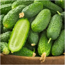 ogorek-konserwowy-polan-f1-nasiona-3-g