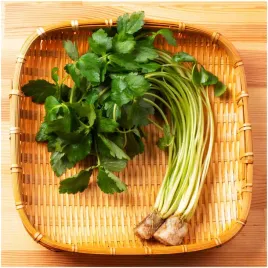 pietruszka-japonska-naciowa-mitsuba-nasiona-03-g