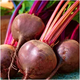 burak-betina-plenny-delikatny-w-smaku-nasiona-10-g