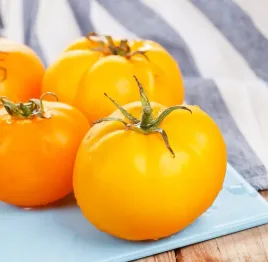 pomidor-gruntowy-yellowstone-aromatyczny-zolty-nasiona-03-g