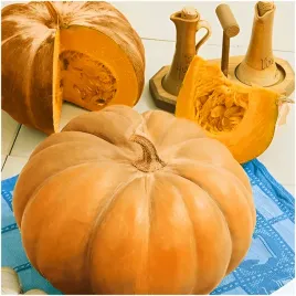 dynia-muskat-de-provence-smaczna-i-aromatyczna-nasiona-3-g