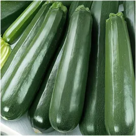 cukinia-nefertiti-dlugie-cylindryczne-owoce-nasiona-3-g
