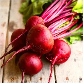 burak-cwiklowy-ciemnoczerwony-plenny-do-przechowywania-nasiona-20-g