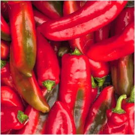 papryka-ostra-anaheim-nasiona-02-g-bardzo-plenna-i-smaczna