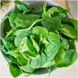 szpinak-asta-f1-mieszaniec-wczesny-do-gruntu-nasiona-10g