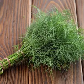 koper-szmaragd-niezwykle-aromatyczny-nasiona-100-g