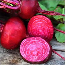 burak-cwiklowy-czerwony-d-egipte-nasiona-10g