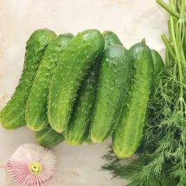 ogorek-gruntowy-krak-f1-wysoka-plennosc-nasiona-5-g