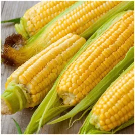 kukurydza-cukrowa-golden-bantam-slodka-nasiona-20-g