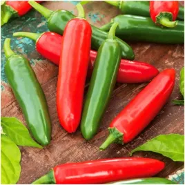 papryka-serrano-nasiona-015-g-ostra-idealna-przyprawa-w-kuchni