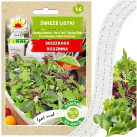 swieze-listki-nasiona-warzyw-na-tasmie-mix-salata-rukola-roszponka-endywia