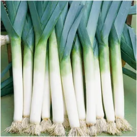 por-albos-srednio-wczesny-grube-lodygi-nasiona-warzyw-1-g