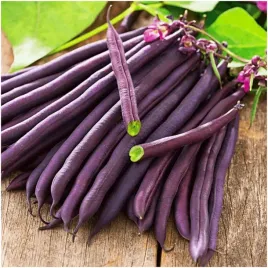 fasola-purple-teepee-straki-bez-wlokien-delikatne-nasiona-30-g