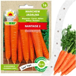 marchew-jadalna-nantaise-2-srednio-wczesna-nasiona-warzyw-na-tasmie-6m